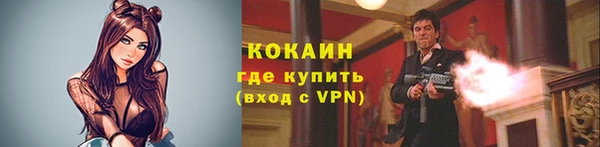 шишки Балабаново