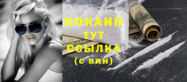 шишки Балабаново