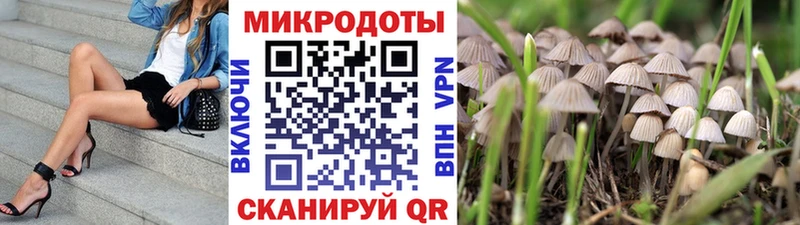 Псилоцибиновые грибы ЛСД  где купить наркотик  Советск 